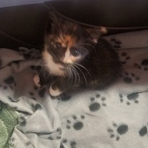 Meet your Posher, Maxine